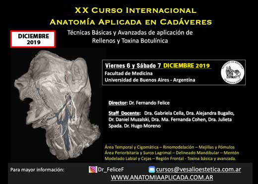 Curso Internacional Anatomía Aplicada en Cadáveres: técnicas básicas y avanzadas de aplicación de rellenos faciales y toxina botulínica Curso Internacional Anatomía Aplicada en Cadáveres: técnicas básicas y avanzadas de aplicación de rellenos faciales y toxina botulínica